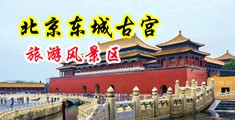 18岁禁裸女露胸娇喘中国北京-东城古宫旅游风景区